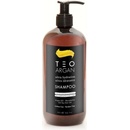 Teotema Argan ultra hydratační šampon 250 ml
