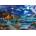 Castorland - Puzzle Sailor's night - 1 000 piese
