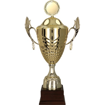 Kovový pohár s poklicí Zlatý 38 cm 14 cm
