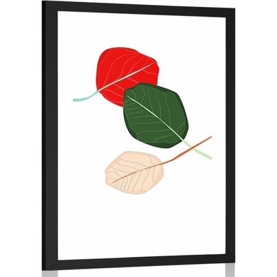 Plakát s paspartou listy plné barev - 40x60 no frame