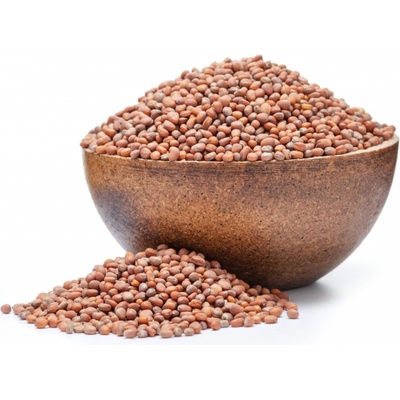 Grizly Ředkev BIO semínka na klíčení 250 g