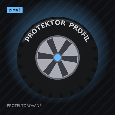 Profil WINTER EXTREMA C2 COLLIN'S 195/65 R16 104R
