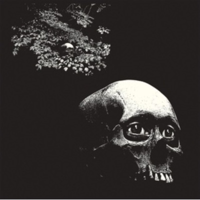 A Foul Form - Osees LP