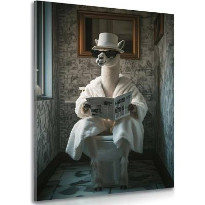 Obraz alpaka s novinami na záchodě - 40x60