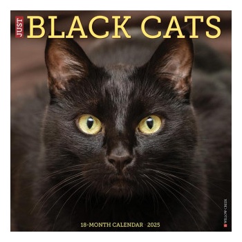 Willow Creek Press Calendars Black Cats 2026 12 X 12 Wall Calendar | Willow Creek Press