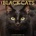 Willow Creek Press Calendars Black Cats 2026 12 X 12 Wall Calendar | Willow Creek Press