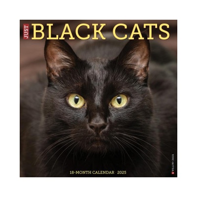 Willow Creek Press Calendars Black Cats 2026 12 X 12 Wall Calendar | Willow Creek Press