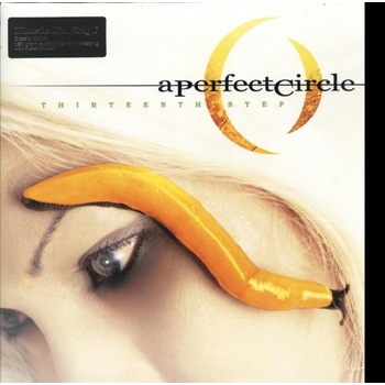 Perfect Circle - Thirteenth Step LP