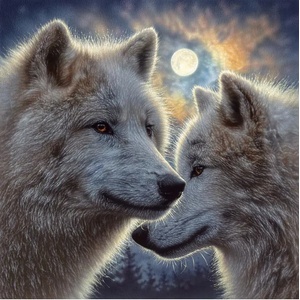 SunsOut - Puzzle Moonlight Mates 500 - 500 piese