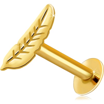 Šperky eshop piercing do brady a rtu ze žlutého zlata ptačí pírko S2GG206.63