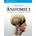 Anatomie 2