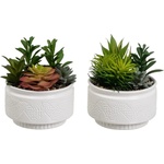 Casa Selección Изкуствени растения в комплект от 2 бр. (височина 19 cm) Cactus - Casa Selección (805319)