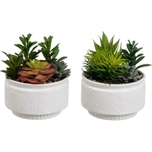 Casa Selección Изкуствени растения в комплект от 2 бр. (височина 19 cm) Cactus - Casa Selección (805319)