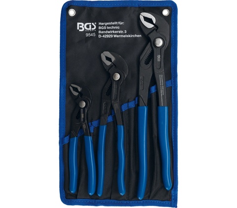 BGS 109545