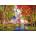 Schmidt Spiele - Puzzle The Autumnal Chapel - 1 000 piese