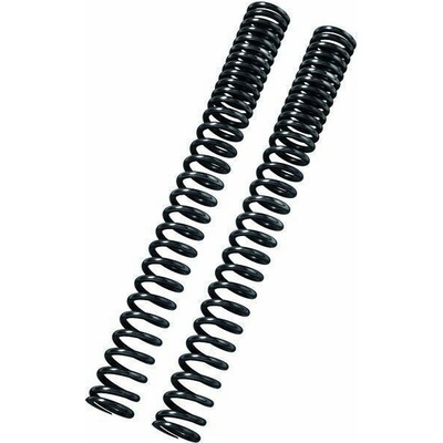 BITUBO Fork springs kit BITUBO Kolobežka (+1 Lt. Oil)