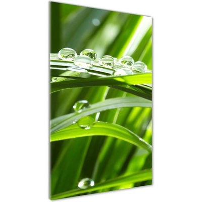 Vertikálny foto obraz sklo tvrdené Steblo trávy 50x100 cm