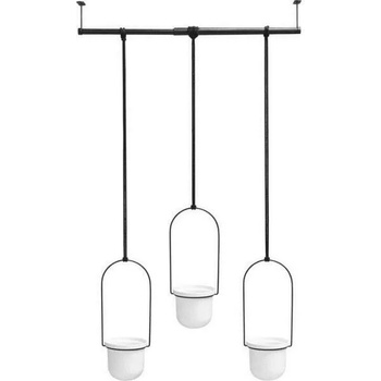 Image 1 of Umbra 1011748