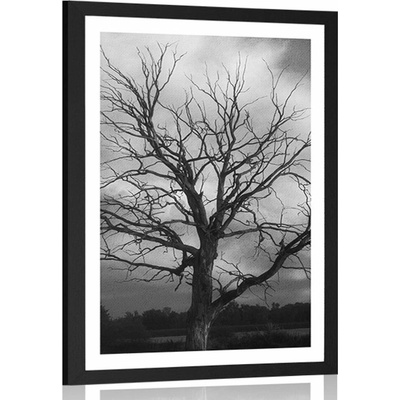 Plakát s paspartou černobílý strom na louce - 60x90 black