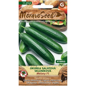 Uhorka šalátová do skleníka MELANO F1 - hybrid 64210