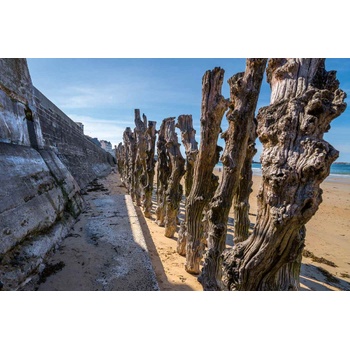 DIMEX ART s. r. o Флизелинов фототапет печалба на брега 375 x 250 см