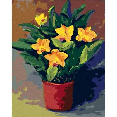 zuty Malování Podle Čísel Narcisy V Květináči 80 x 100 Cm Plátno Rám