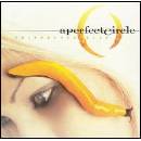 PERFECT CIRCLE: THIRTEENTH STEP CD