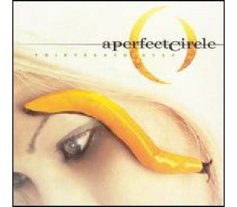 PERFECT CIRCLE: THIRTEENTH STEP CD