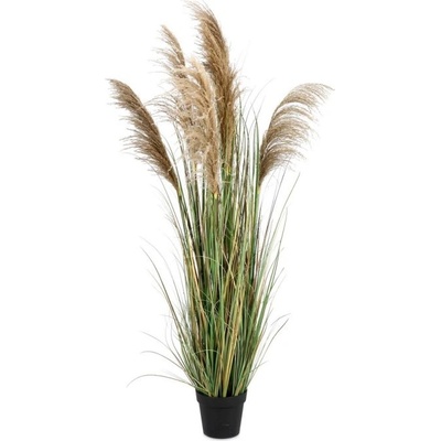 Bizzotto Растение Austorderia Pampas с ваза, височина 170 см (0173021)