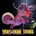 Yeah Yeah Yeahs - Mosquito LP