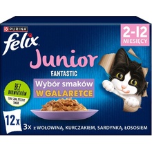 Felix Fantastic Junior hovězí, kuře, sardinky, losos v želé 12 x 85 g