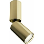 Maytoni Focus C051CL-01BS