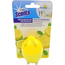 At Home Scents Pohlcovač pachov do chladničky Citrus 30 g