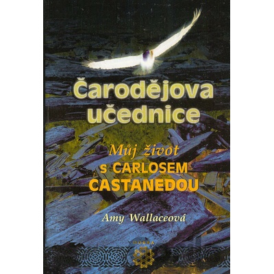 Čarodějova učednice - Amy Wallaceová