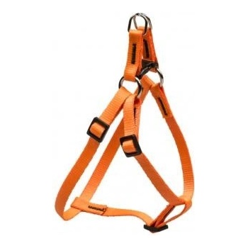 B & F Postroj popruh NEON