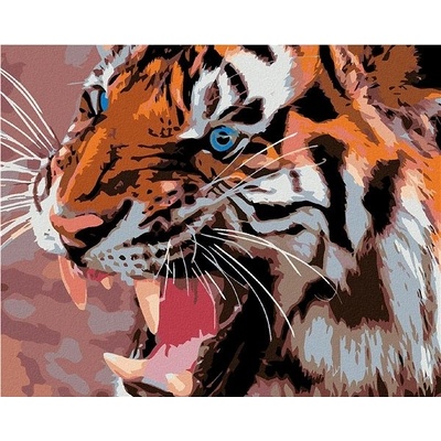 zuty Malování podle čísel Modré tygří oči 100 x 80 cm vypnuté plátno na rám