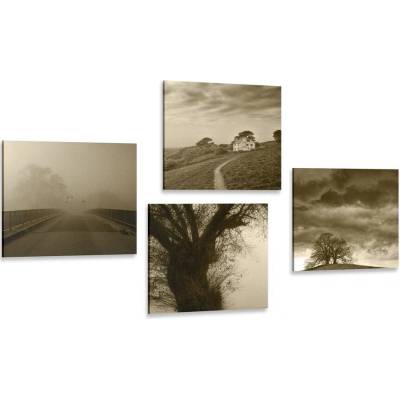 Set obrazů tajemná příroda v sépiovém provedení - 4x 60x60
