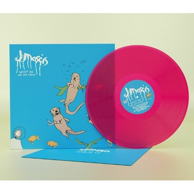 MASCIS, J - WHAT DO WE DO NOW LP