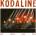 Universal Kodaline: Our Roots Run Deep - CD (053351)