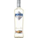Amundsen Fusion Melon 15% 1 l (holá láhev)