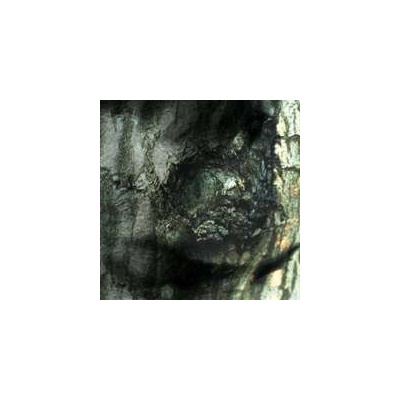 Tiersen Yann - La Valse Des Monstres/The LP