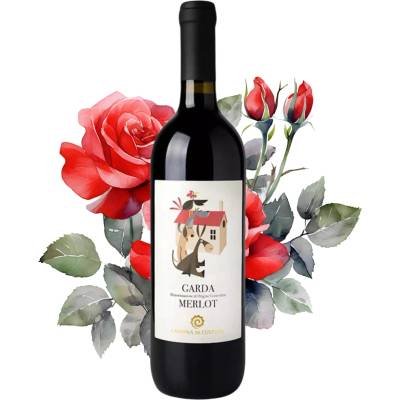 Cantina di Custoza Garda Merlot DOC 6 x 0,75l (Kartón)
