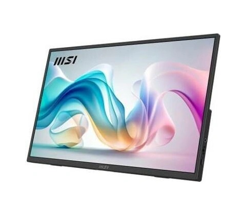 MSI Pro MP165 E6
