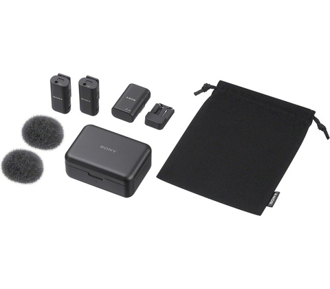 Sony ECM-W3