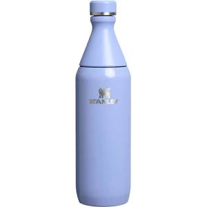 STANLEY Термо бутилка Stanley All Day Slim 600 мл, гланц хортензия (10.12069-121)