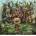 Magnolia - Puzzle CC Mystery Orchestra - 1 000 piese