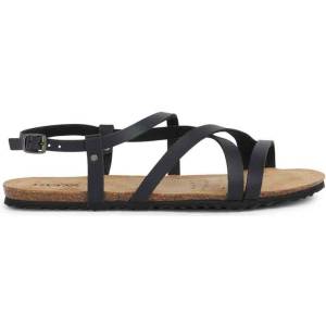 Geox Brionia low 37