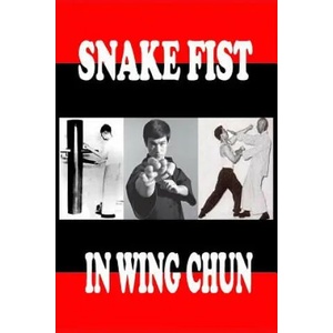 Snake fist in wing chun (ISBN: 9781546775638)