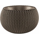 Image 1 of Keter Cozy S (229534/5/6/7/231127)