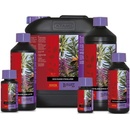 ATAMI B´cuzz Coco Bloom Stimulator 100ml